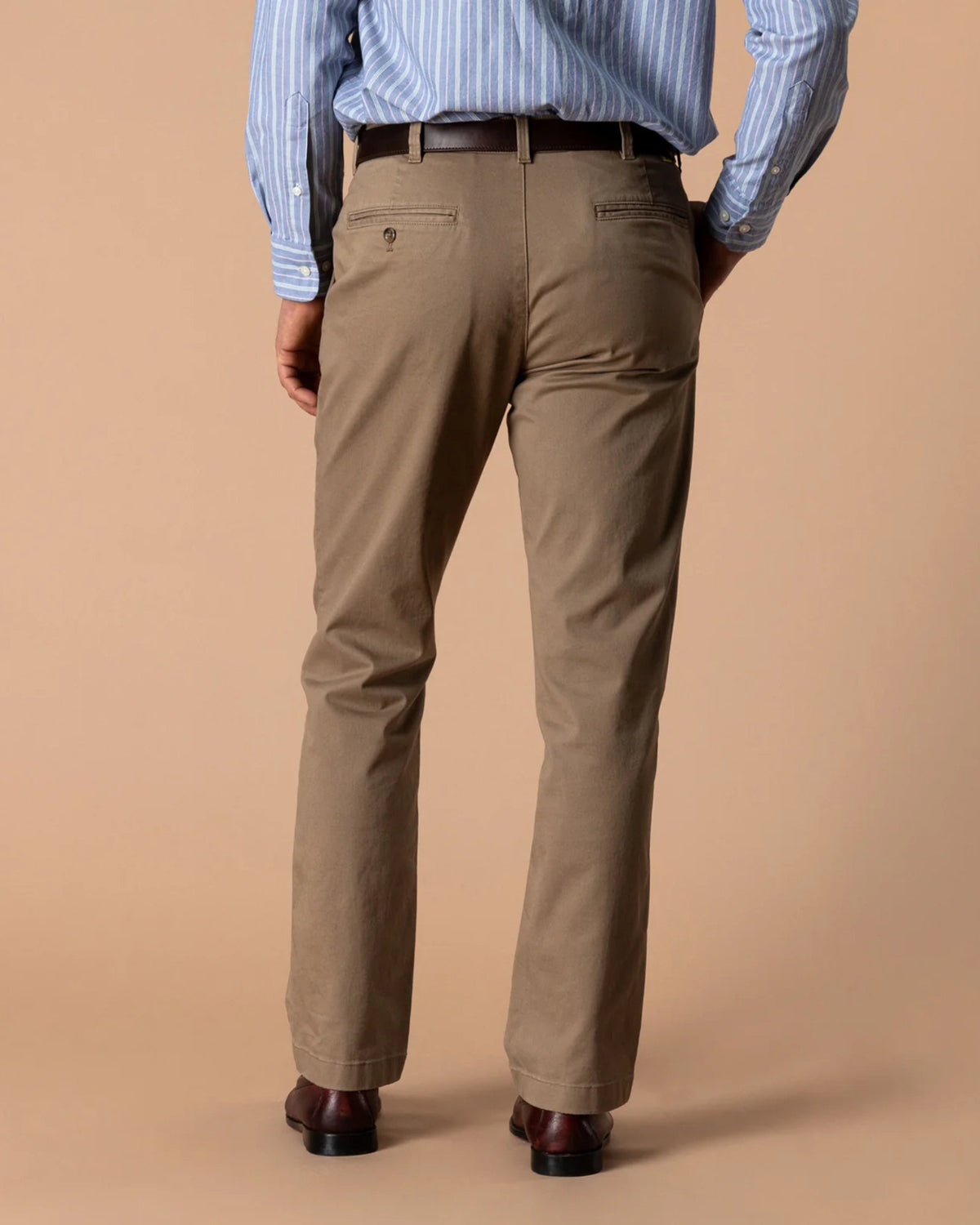 Duck Head  - Gold School Chino's