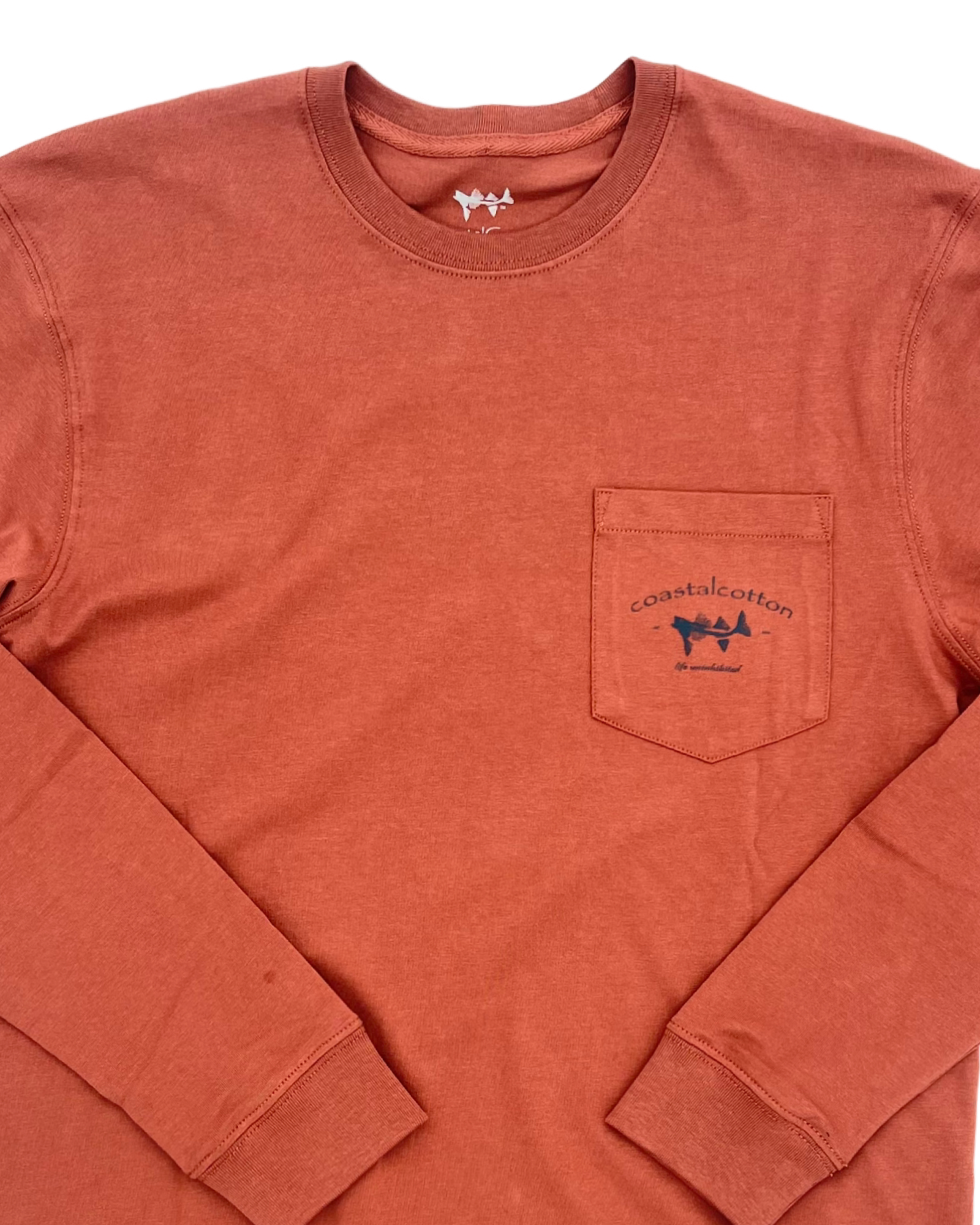 Coastal Cotton - Long Sleeve Tee - Fly - Autumn