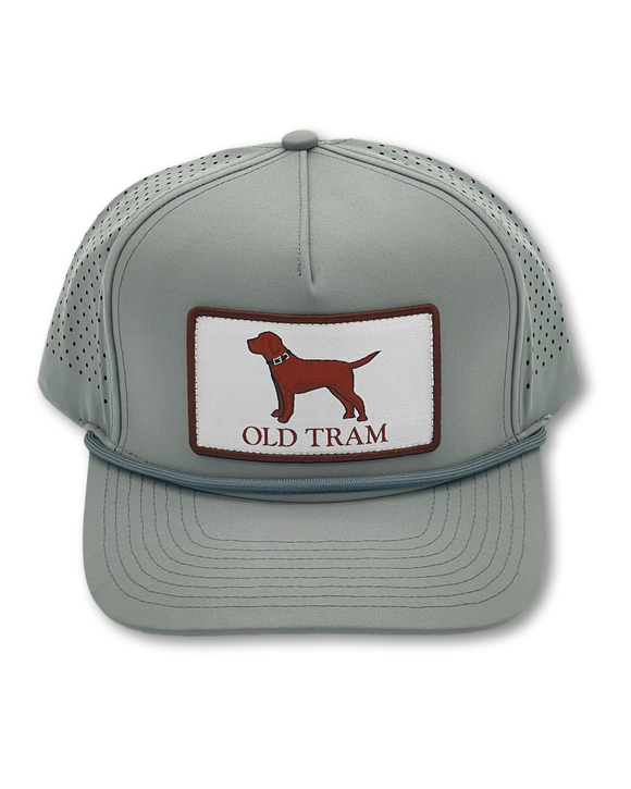 Old Tram- Performance Hat- Gray- Brown Dog